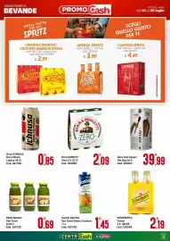 Volantino Centro Cash Pagina 13