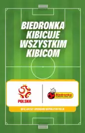 Biedronka gazetka Strona 5