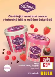 Billa leták týden 29 Strana 13