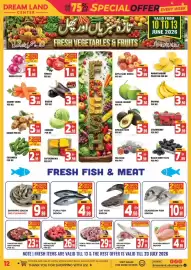 Dream Land Center catalogue Page 12