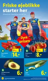 Lidl tilbudsavis Side 15