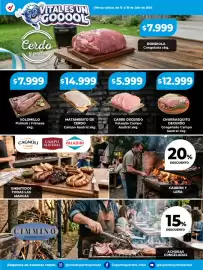 Catálogo Supermayorista Vital semana 29 Página 3