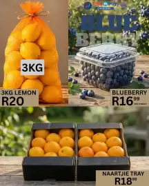 Take 'n Pay catalogue Page 3