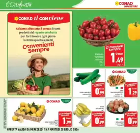 Volantino Conad Pagina 10