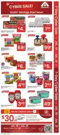 Albertsons weekly ad week 29 Page 4