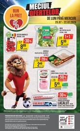 Catalog Mega Image săptămâna 29 Pagină 24