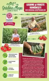 Catalog Mega Image săptămâna 29 Pagină 11