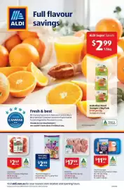 ALDI catalogue | Special Buys Page 20