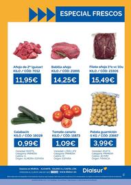 Folleto Dialsur Cash & Carry semana 29 Página 2