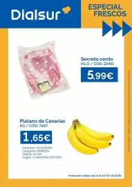 Folleto Dialsur Cash & Carry semana 29 Página 1