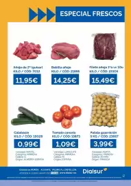 Folleto Dialsur Cash & Carry semana 29 Página 2