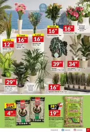 Twój Market gazetka tydzień 29 Strona 17