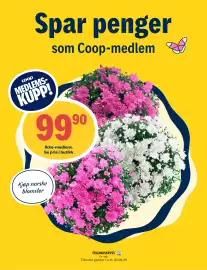Coop Prix uke 29 Side 14
