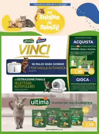 Volantino DiMeglio Pagina 13