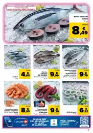 Folleto Carrefour Página 11