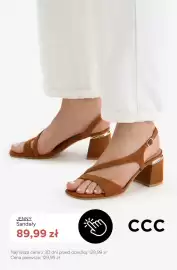 CCC gazetka tydzień 29 Strona 7