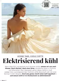 Müller Flugblatt Seite 24