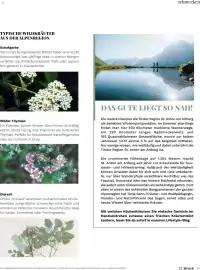 Müller Flugblatt Seite 67