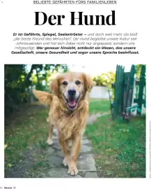 Müller Flugblatt Seite 84