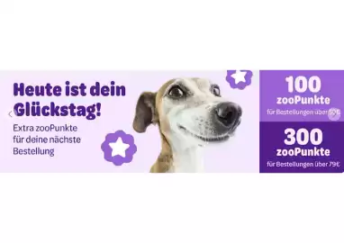 Zooplus Flugblatt Seite 6