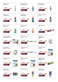 Volantino Prezzemolo e Vitale Pagina 37
