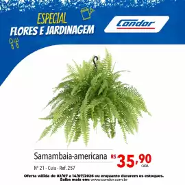Catálogo Supermercados Condor Página 27