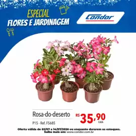 Catálogo Supermercados Condor Página 29