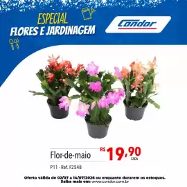 Catálogo Supermercados Condor Página 30