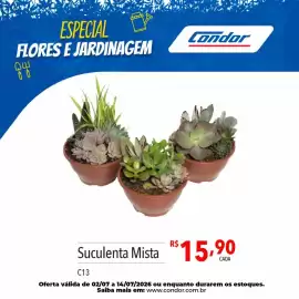 Catálogo Supermercados Condor Página 31