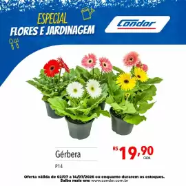 Catálogo Supermercados Condor Página 32