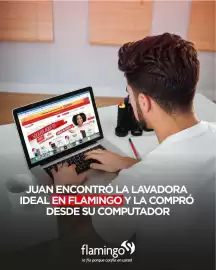 Catálogo Flamingo Página 1