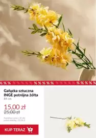 Homla gazetka tydzień 29 Strona 5