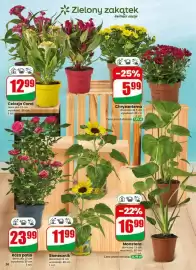 Dino gazetka tydzień 29 Strona 56