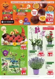 Kaufland gazetka tydzień 29 Strona 5