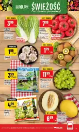 Polomarket gazetka tydzień 29 Strona 11