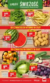 Polomarket gazetka tydzień 29 Strona 13