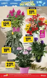Polomarket gazetka tydzień 29 Strona 14