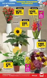 Polomarket gazetka tydzień 29 Strona 15