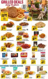 Food Lion weekly ad week 29 Page 3