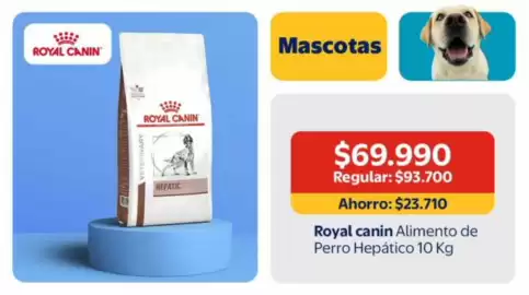 Catálogo Lider Página 20