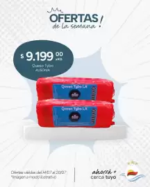 Catálogo El Milagro Mayorista semana 29 Página 16