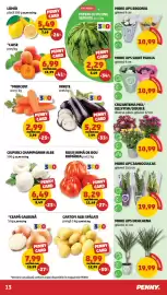 Catalog Penny săptămâna 29 Pagină 13