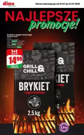 Dino gazetka tydzień 29 Strona 1