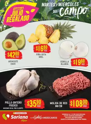 Soriana Híper (válido hasta 15-07)