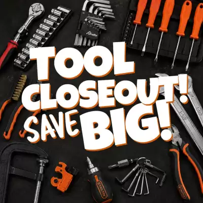 Big Lots (valid until 20-07)