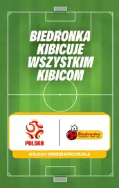 Biedronka gazetka Strona 5