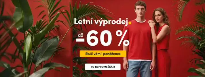 Zoot leták Strana 1