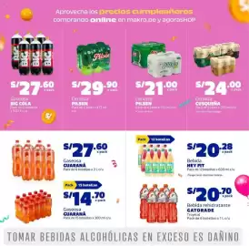 Catálogo Makro Página 19