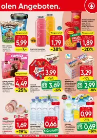 Spar Flugblatt Seite 17
