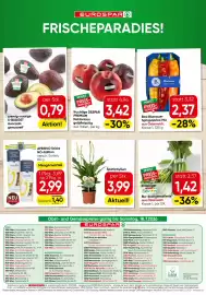Eurospar Flugblatt Seite 16